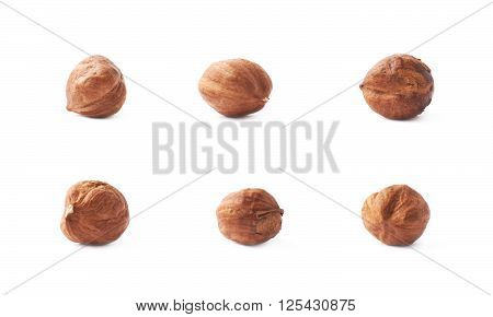 Mulitple single hazelnut nuts isolated over the white background, set of six images