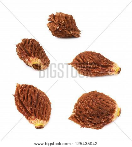 Peach pit seed isolated over the white background, set of five different foreshortenings