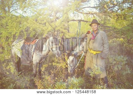 Mongolian Tsataan With Horses Concept