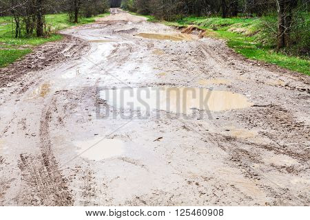 Rainy Puddles On Dirty Country Road In Spring