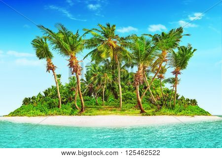 Whole Tropical Island Within Atoll In Tropical Ocean.