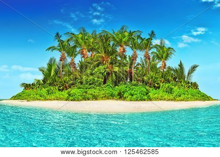Whole Tropical Island Within Atoll In Tropical Ocean.
