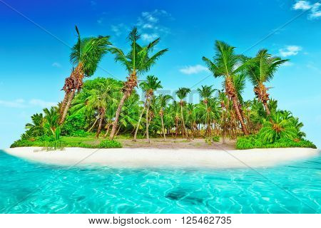 Whole Tropical Island Within Atoll In Tropical Ocean.