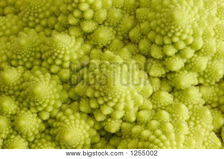 Romanesco Closeup