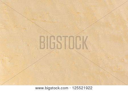 A close-up of polished birdseye maple wood texture