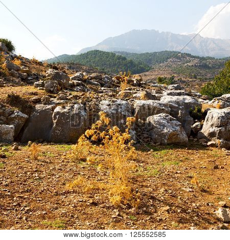 From The Hill In Asia Turkey Selge Old Architecture Ruins And Nature