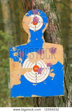 ใช้เป้าหมายเพนท์บอล