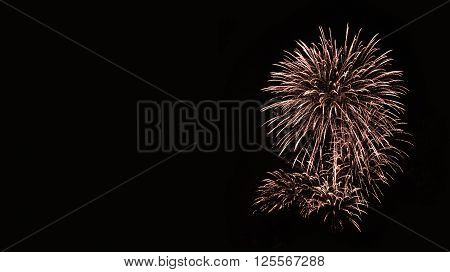 Holiday, beautiful fireworks in the night sky.