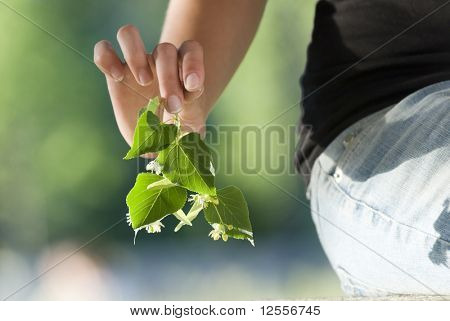 หลุดออกใบ