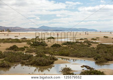 Fuerteventura, Spain - September 2015: Beach Playa De Sotavento Canary Island Fuerteventura Spain