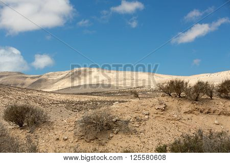 The Desert Landscape Costa Calma On Fuerteventura. Canary Island. Spain