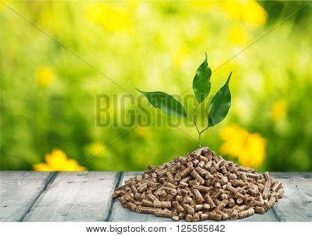 Biomass.