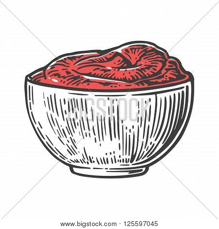 Tomato sause plate. Vector engraved illustration isolated on white background.