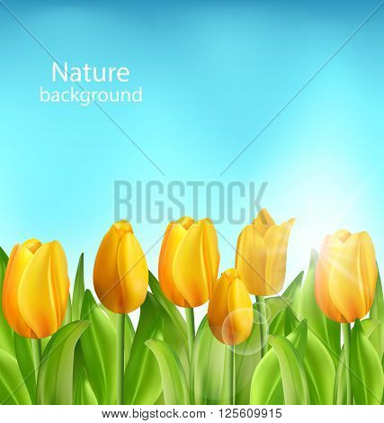Illustration Nature Floral Background with Tulips Flowers and Blue Sky, Springtime, Environment, Beautiful Landscape - Vector