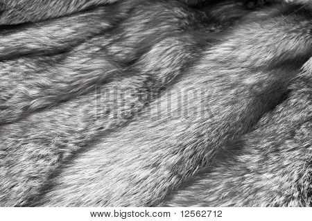 Luxe bont: Russisch Silver Fox achtergrond