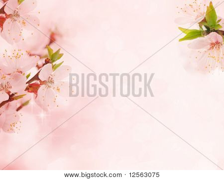 Schöne Blumen-Frame