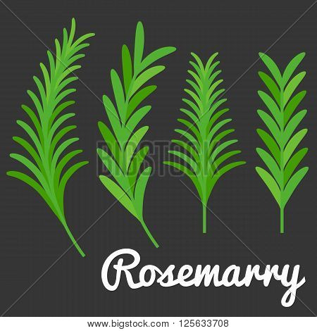 Rosemarry vector, flat design on black background