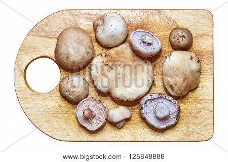 fresh mushrooms on a board. on a white background