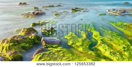 Moss beach beautiful sunny on coast path mossy rocks overlooking sea blue waves like clouds smoother landscaped peaceful morning to travel resort here