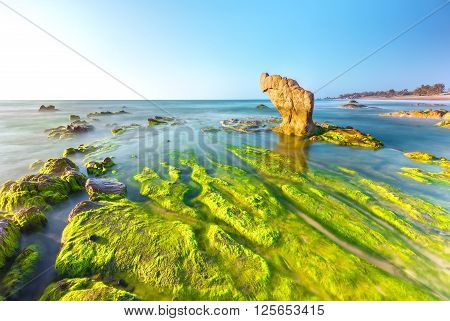 Dawn on beach from path mossy rocks overlooking large stone overlooking sea with smooth waves to welcome early sunshine very suitable for resort and tourism in Binh Thuan , Vietnam