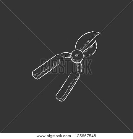 Pruner. Drawn in chalk icon.