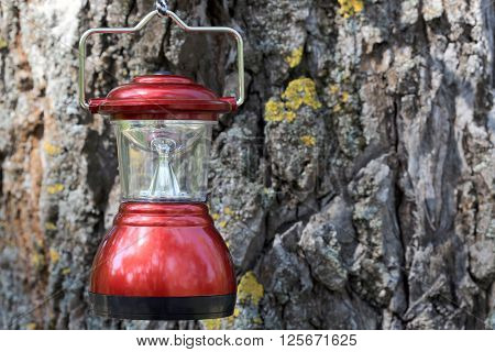 camp lantern on cortex tree background