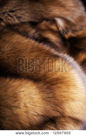 Luxe Sable vacht