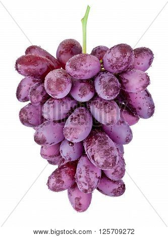 Fresh wet red grapes hanging isolated on white background