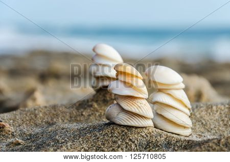 Three figures made of shells on a background of ocean
** Note: Shallow depth of field