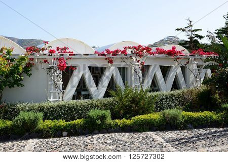 VOTHONAS THIRA GREECE - MAY 19: The decoration of Koutsoyannopoulos Wine Museum on May 19 2014 in Vothonas Thira Greece. It is occupies a natural cave and has a labyrinth-like shape.