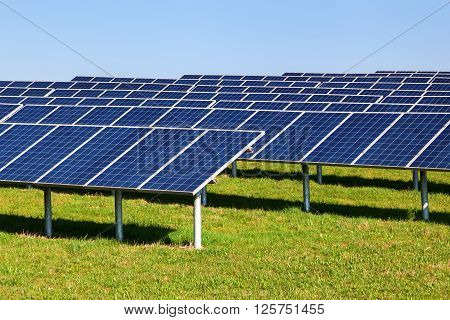 picture of a field with rows of solar collectors