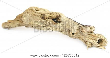 Close up of bogwood over white background