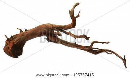Close up of bogwood over white background