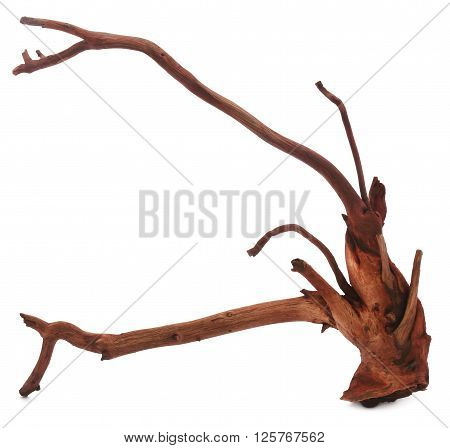 Close up of bogwood over white background