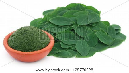 Mashed Moringa leaves in a pottery over white background