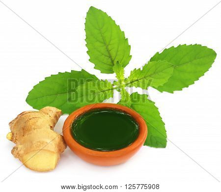 Ayurvedic combination of holy basil and ginger overw white background