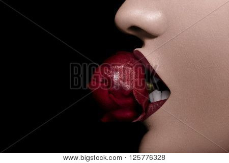 Bitting sexy a rose in red lips on black bakcground with copyspace awailable