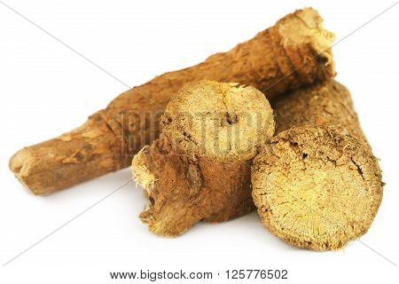 Close up of Medicinal Yastimadhu over white background