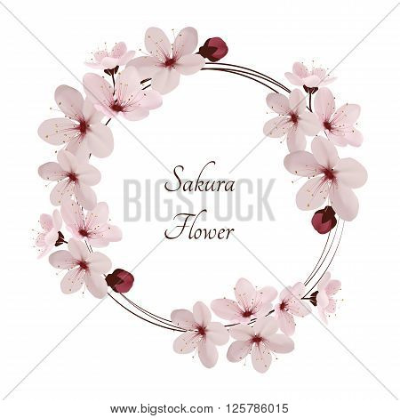 Sakura flowers vector illustration. 
invitation cards with a blossom sakura.