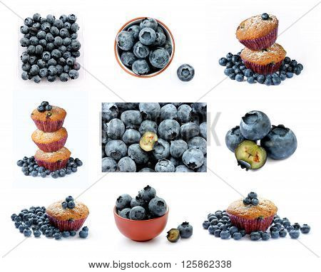 Collection of blueberries isolated on white background