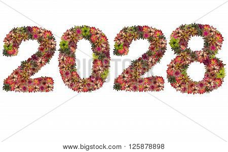 New year 2028 made from bromeliad flowers isolated on white background
