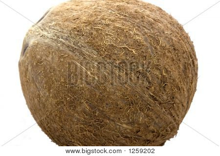 Noce di cocco