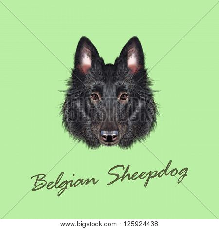 Cute face of black domestic dog on green background.