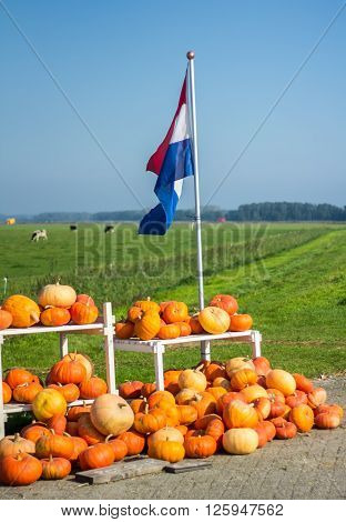 Flevoland the Netherlands - October 2 2011: pumpkins for sale in the countryside