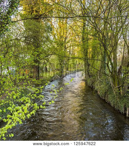 River Wuerm With Green Trees In Munich