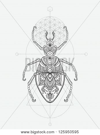 Greeting card with bug. Ornamemtal of Insect made in vector. Perfect cards, or for any other kind of design, coloring book pages. Seamless hand drawn map with  bug ornamental.