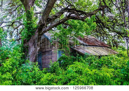 Hidden Old Abandoned Shack In Texas