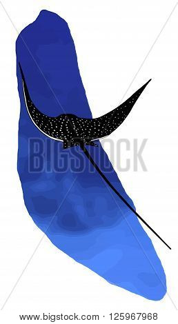 Spotted eagle ray near coral reef vector