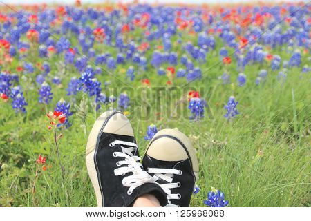 Blue Bonnet and Indian Paintbrush are at full boom in Brenham, TX