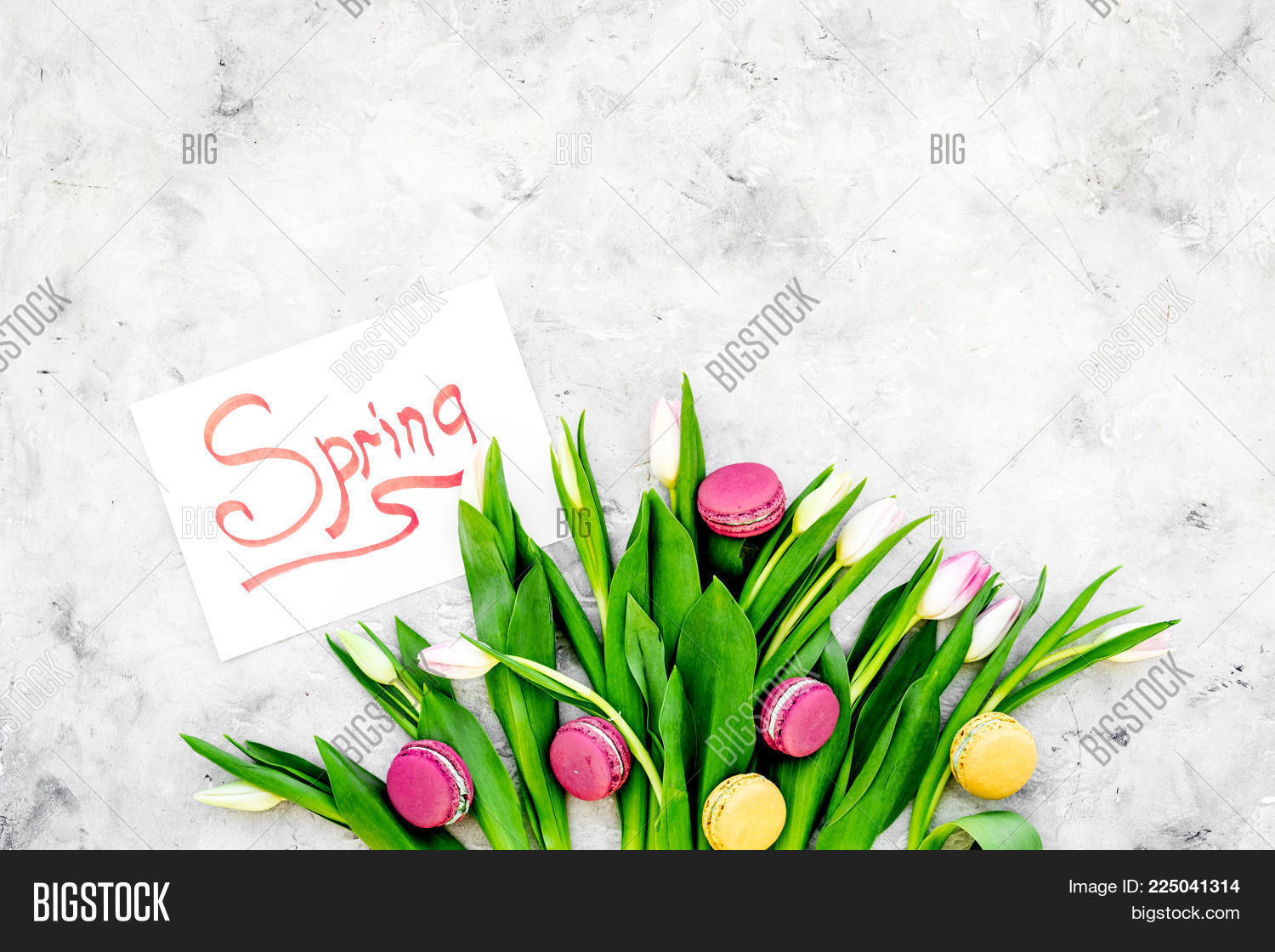 macarons tulips sweets near powerpoint template macarons tulips